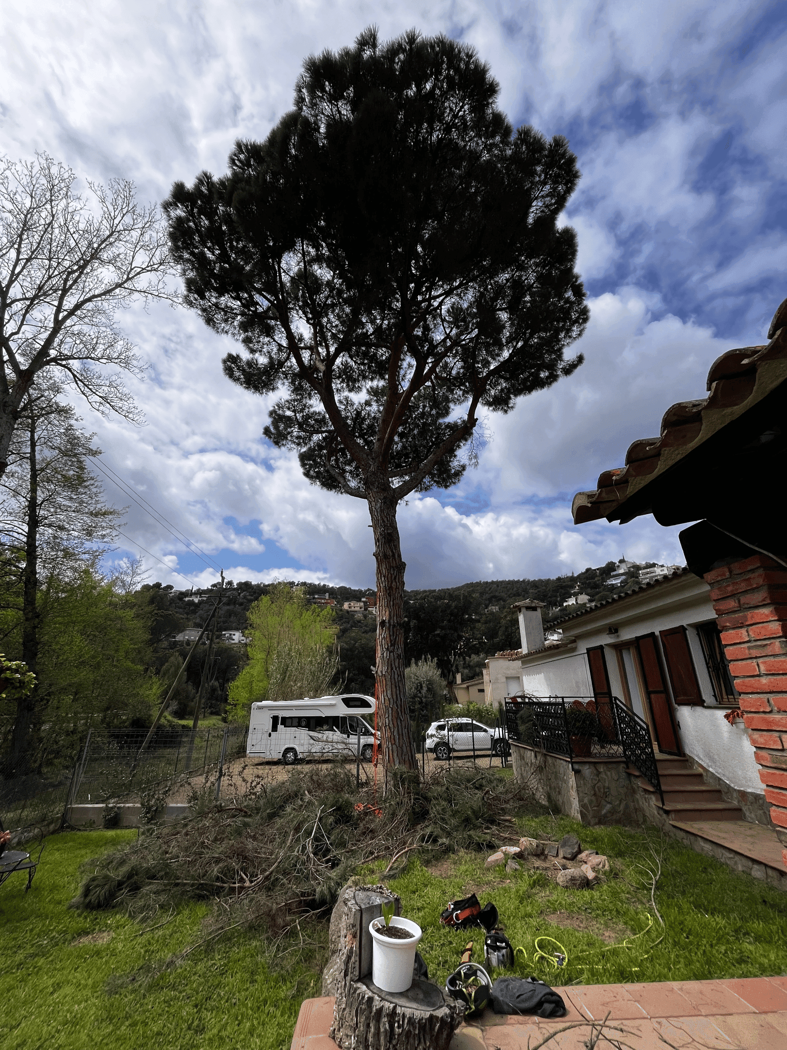 Arborista fent poda en alçada